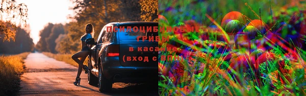 mdpv Заволжье