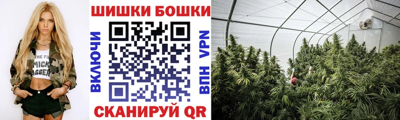 МАРИХУАНА конопля Калачинск